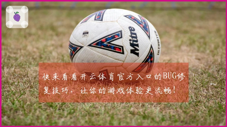 快来看看开云体育官方入口的BUG修复技巧，让你的游戏体验更流畅！